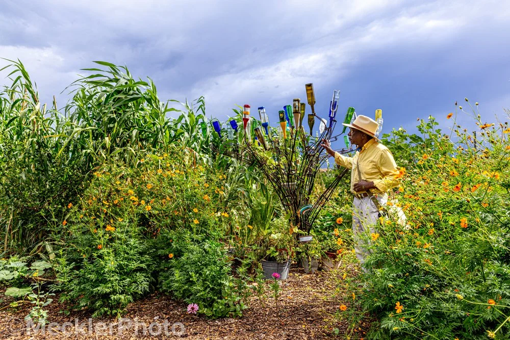 MecklerPhoto-_MP24433-F.jpg