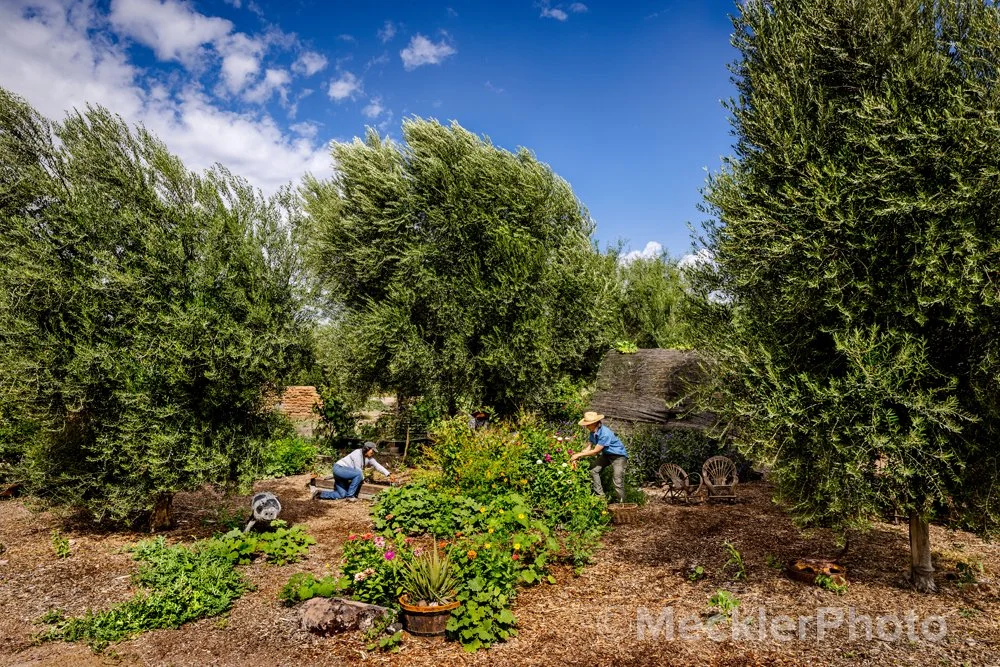 MecklerPhoto-Gardens-7-0837-F.jpg