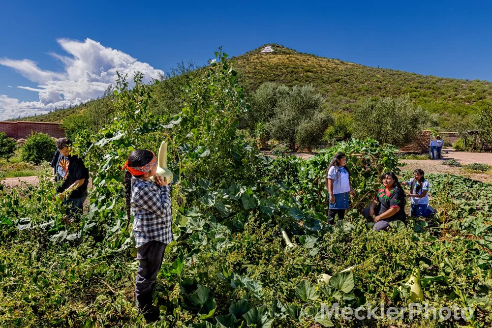 MecklerPhoto-Gardens-12-0400-F.jpg