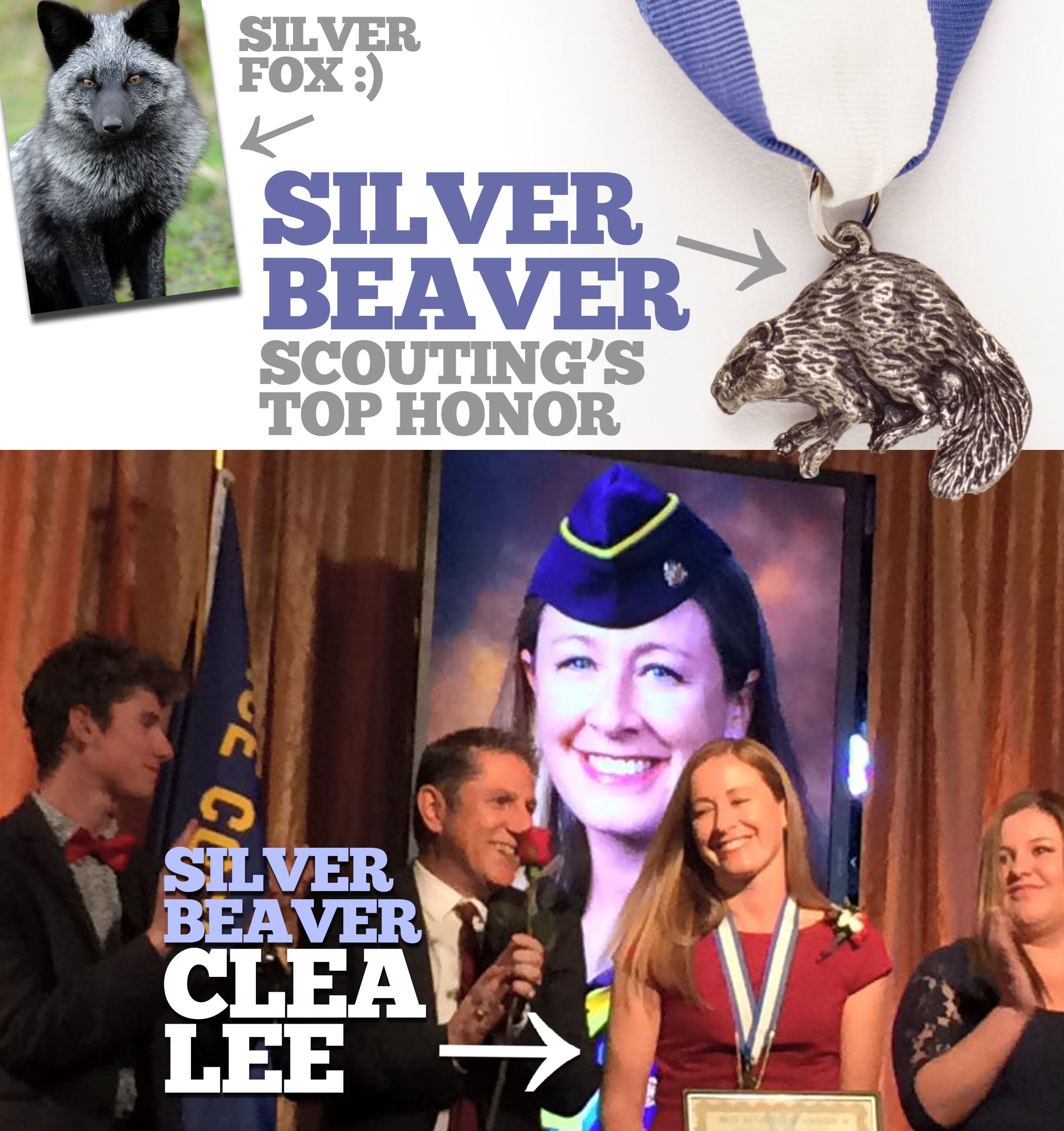 The Silver Beaver Award was introduced in 1931 and is a council‐level distinguished service award of the Boy Scouts of America. Recipients of this award are registered Scouters who have made an impact on the lives of youth through service given to the council.