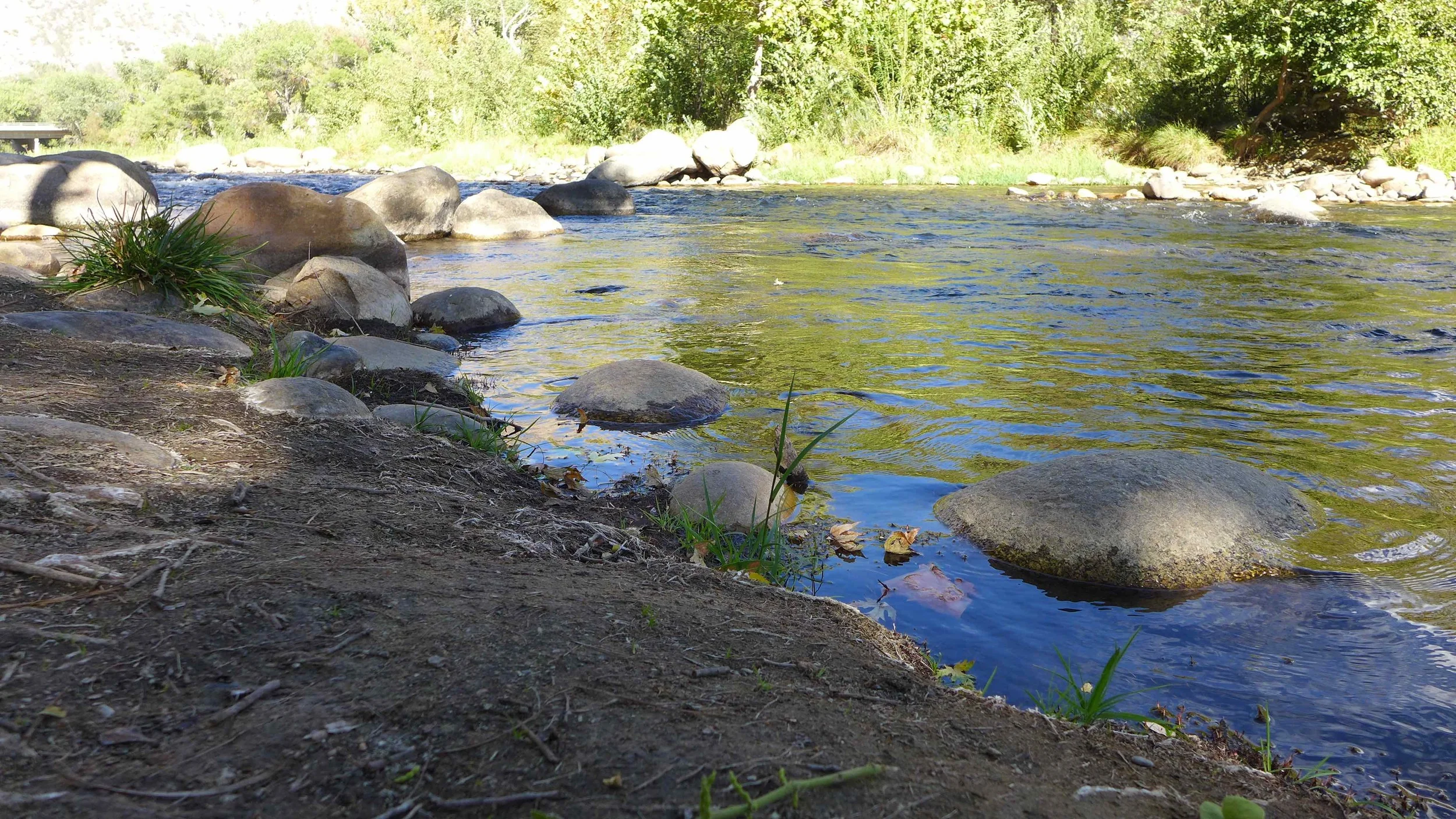 L1000671.jpg