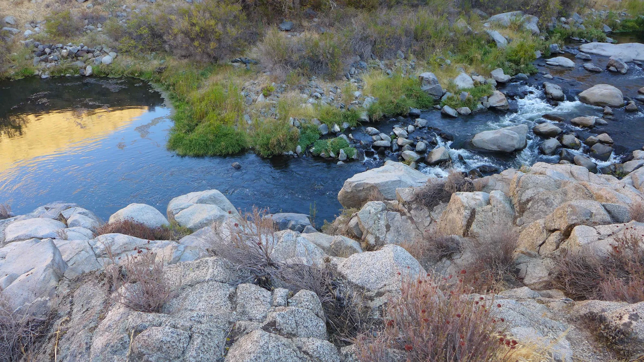 L1000699.jpg