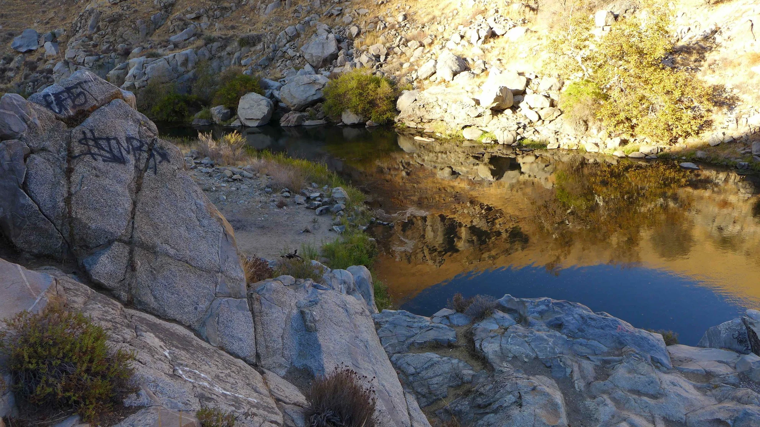 L1000702.jpg