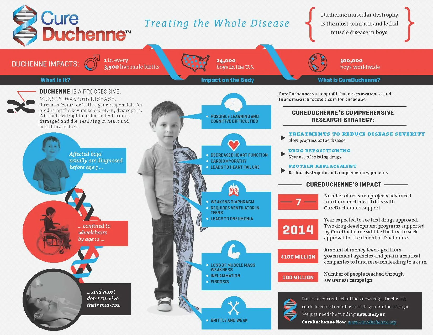 CureDuchenne Infographic-sm.jpg