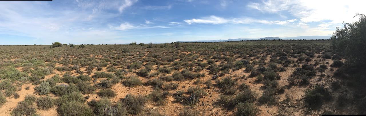 Pano View.jpg
