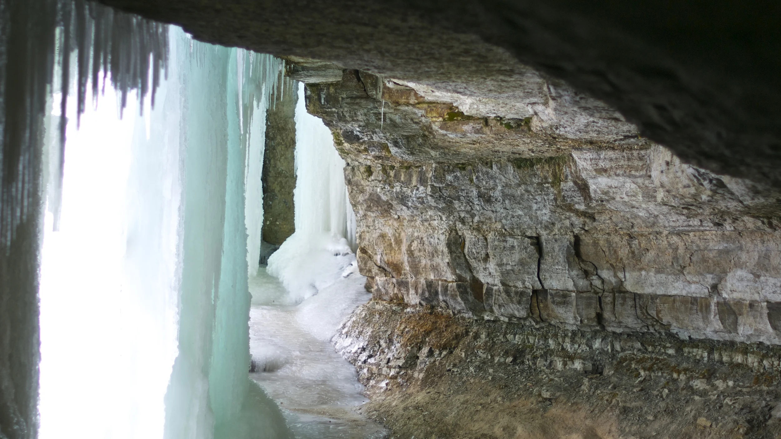 DSC_0304.jpg