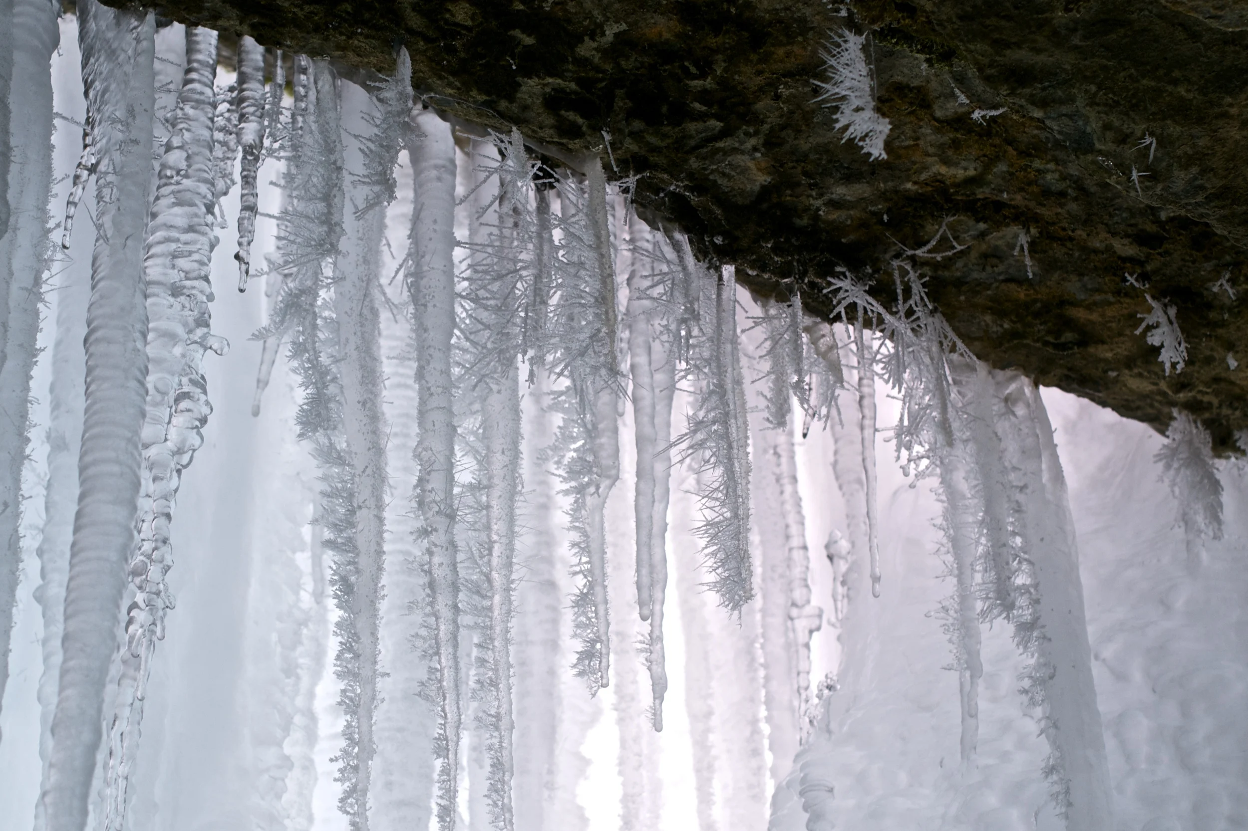 DSC_0275.jpg