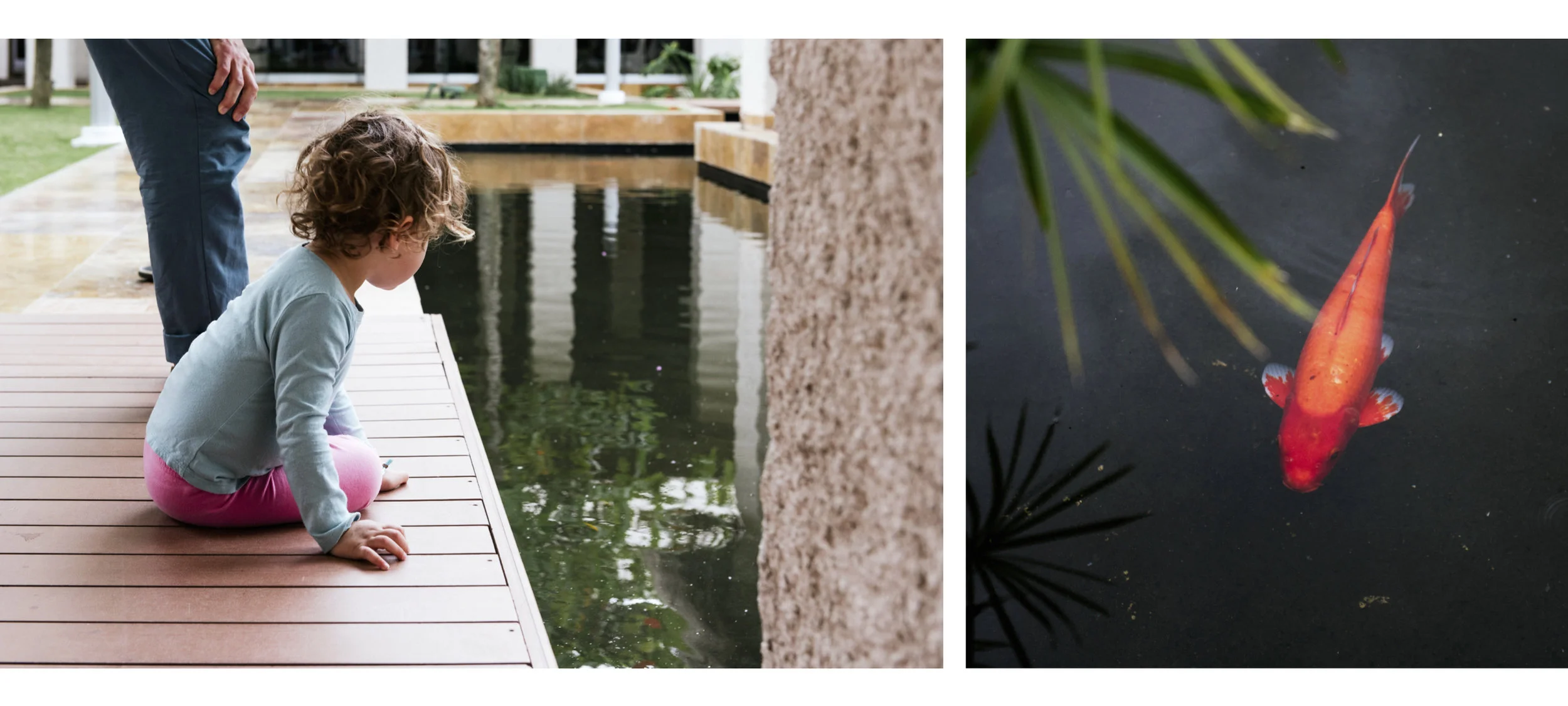 Nora checking out the koi pond in the lobby.