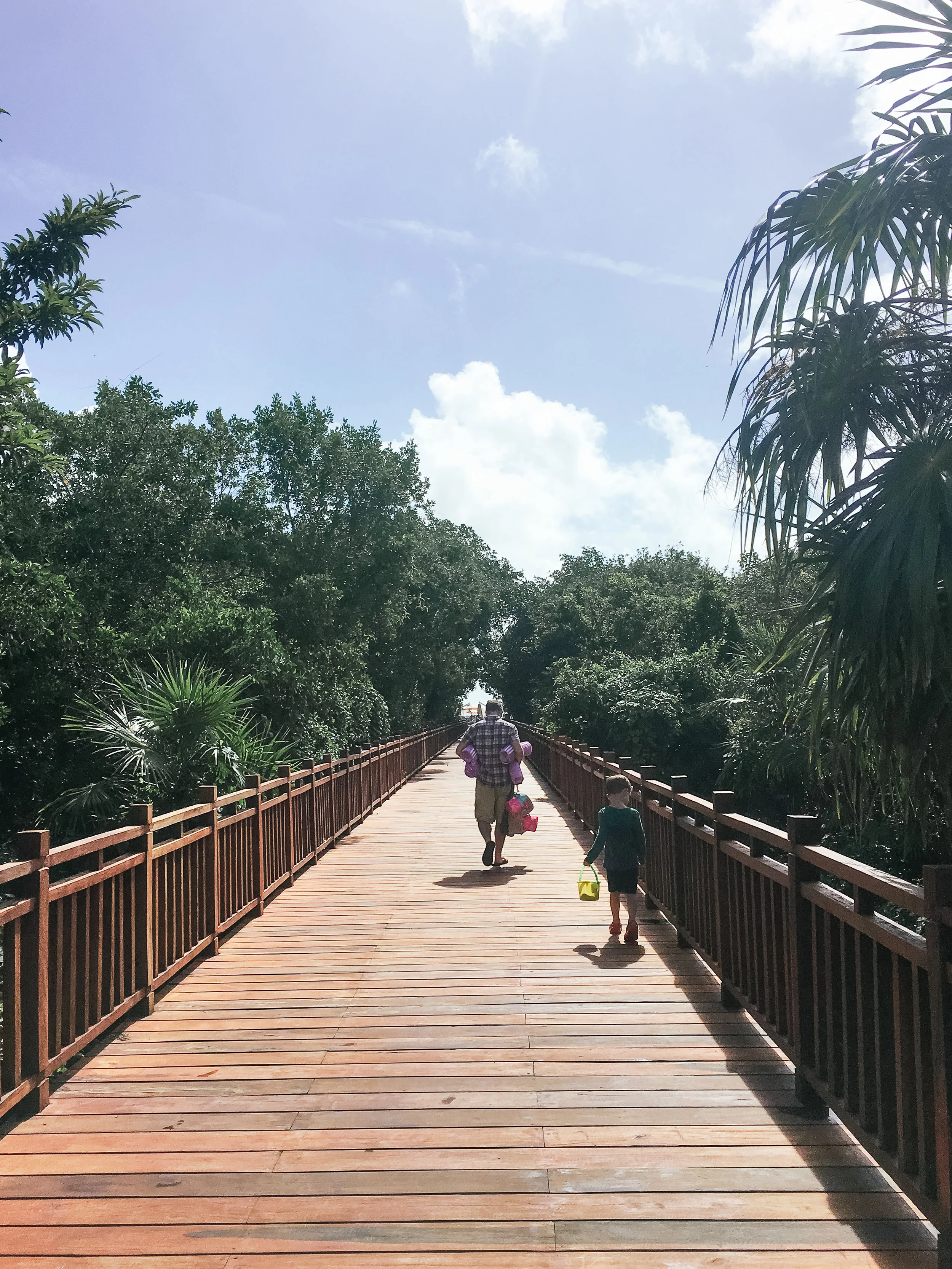 Heading to the beach on one of the many boardwalks that cut through the mangroves.