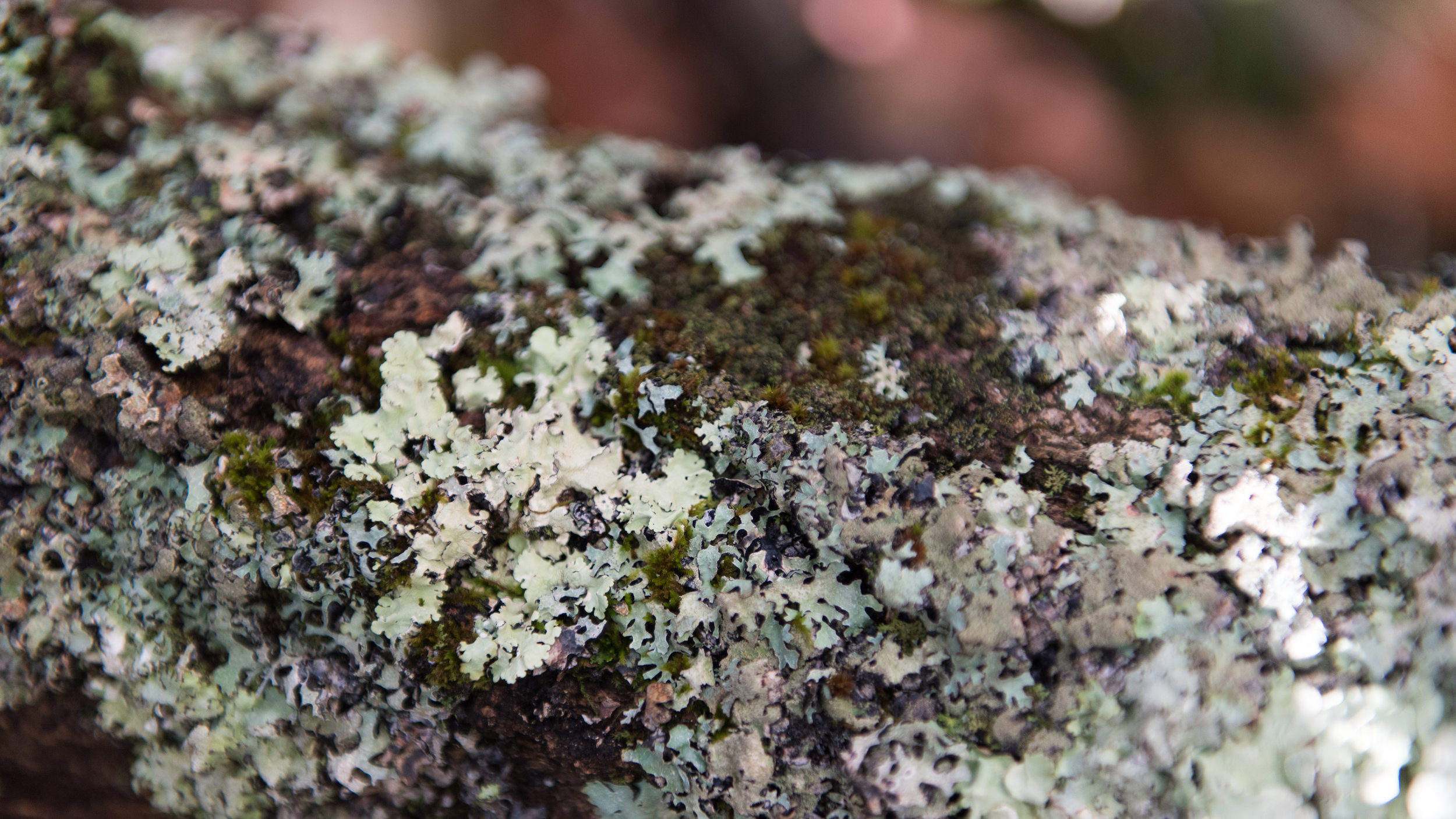 20170923-DSC_7840.jpg