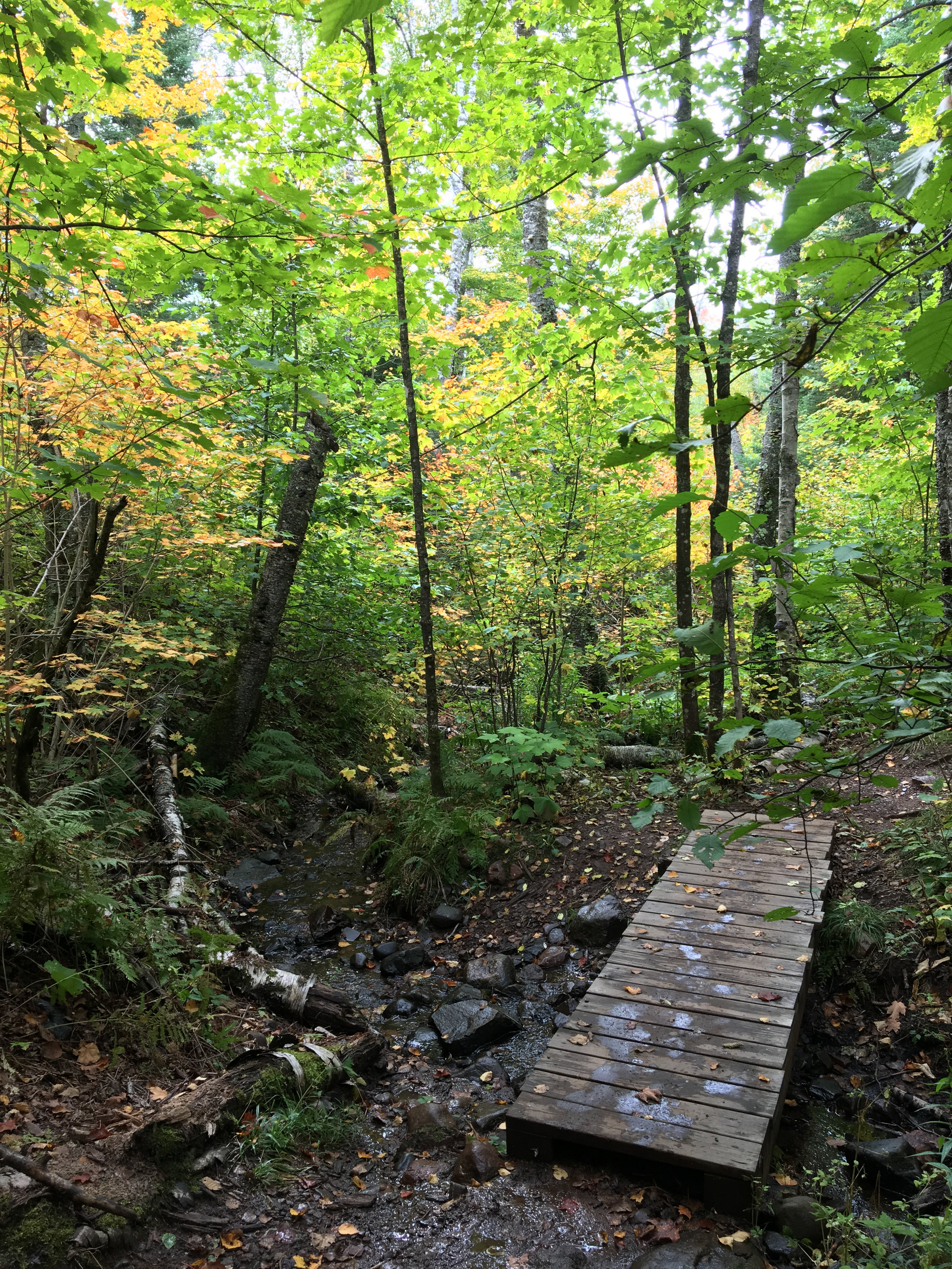 20170923-IMG_4333.jpg