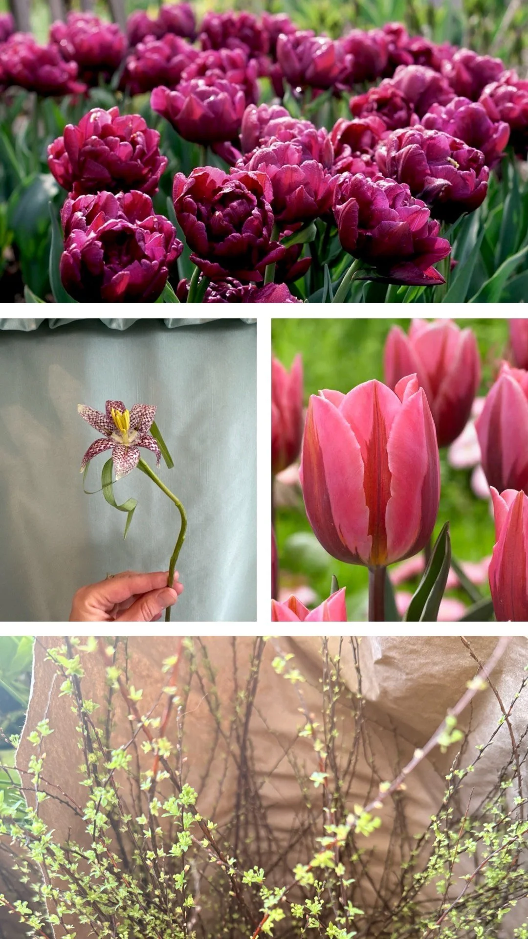 Valentine's Bouquet Pre-Order v.2