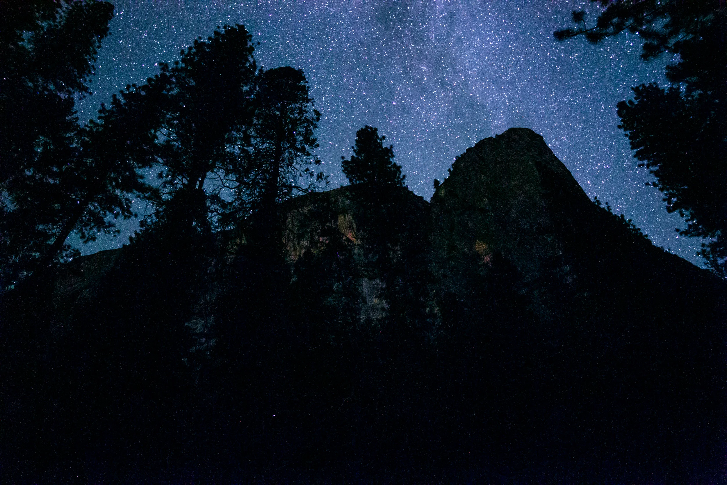 Moms card (1 of 1)-2.jpg