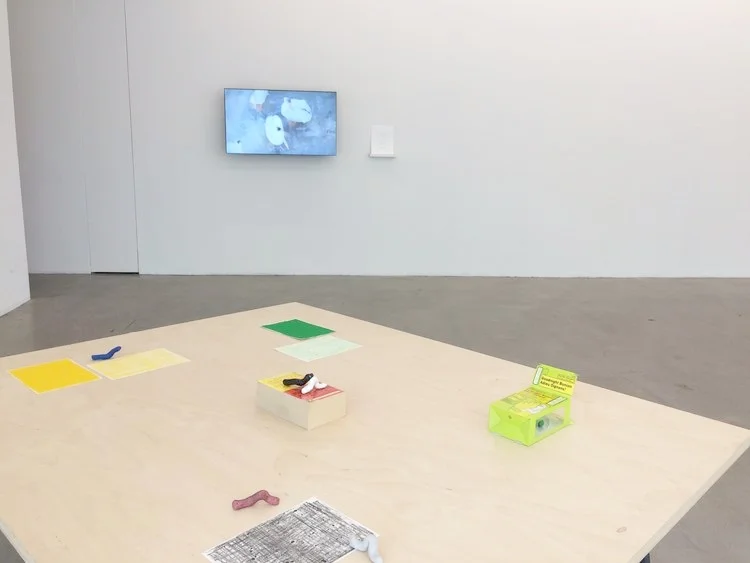 Installation view of Lockport Wave, 2017 by Kristina Banera (background) and Fabiola Carranza (foreground) at Plug In ICA Summer Institute with Chris Kraus 2017.