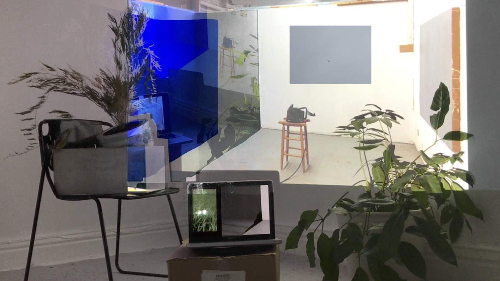 Video still from Entrainment ritual to assemble from missing parts, 2017.