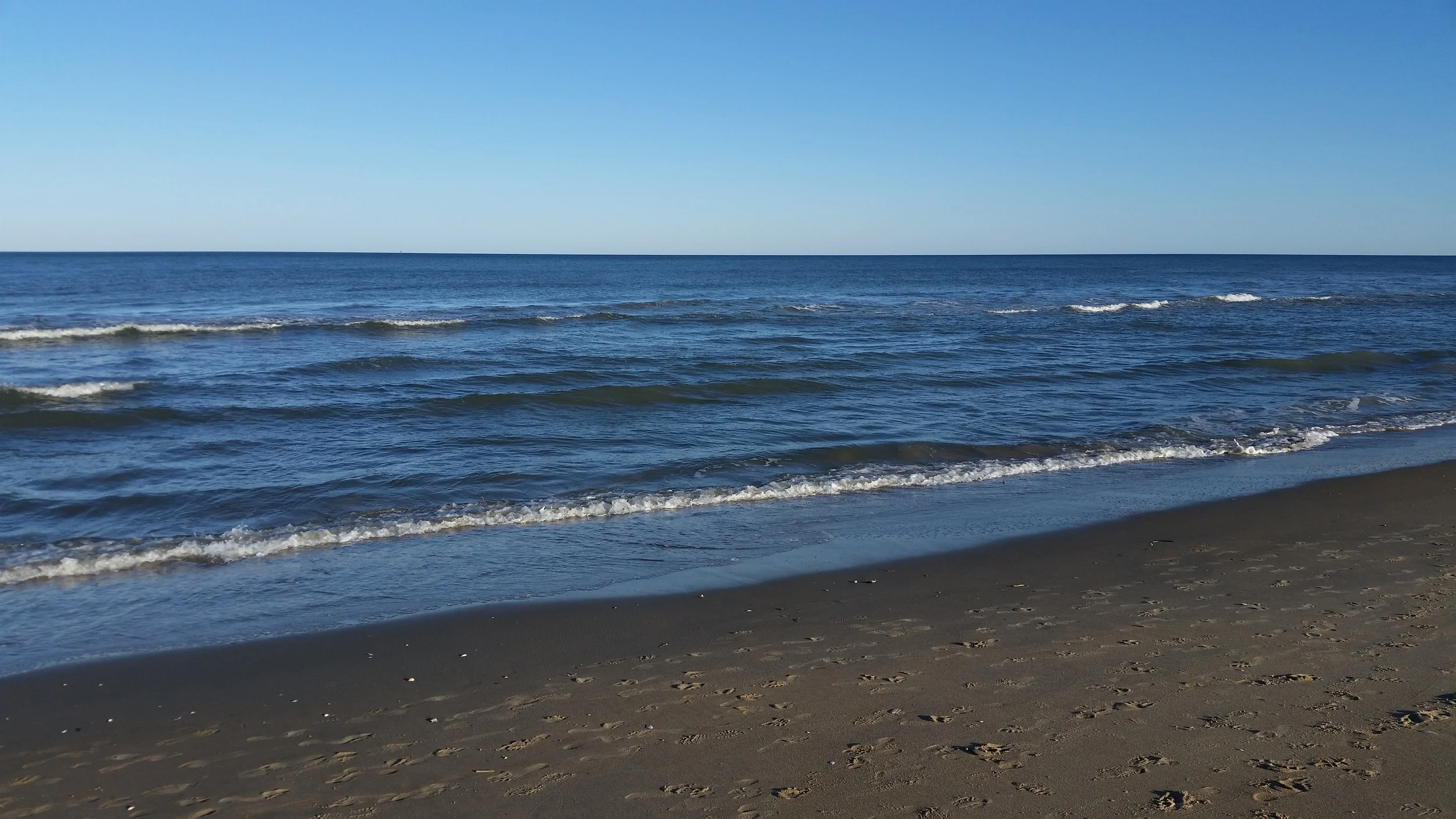 20141026_164651.jpg
