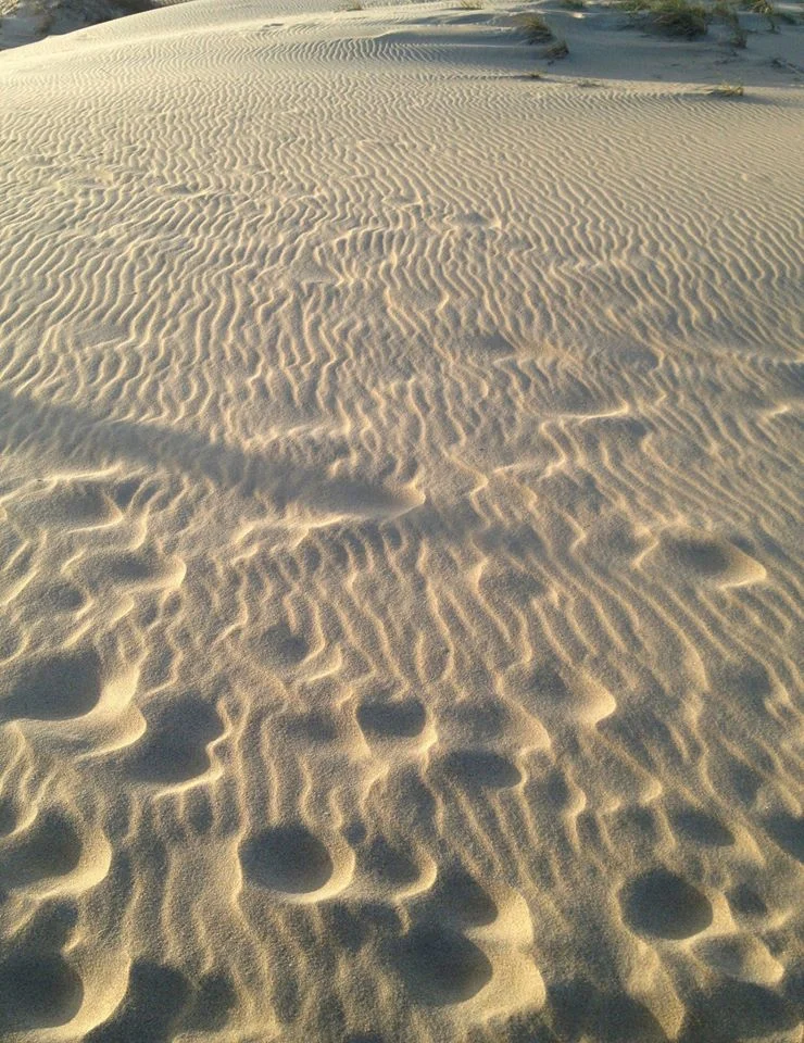 175841_10100962874618550_1961087504_o.jpg