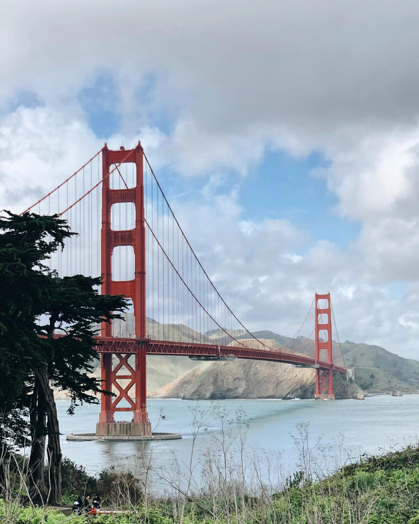 SF, you&rsquo;re freaky and fucked up and I&rsquo;ve never had so much fun singing alongside the piano at Martuni&rsquo;s, and my calves have never looked so strong from the hills, and I&rsquo;ve never been surrounded by the world&rsquo;s most bizarr