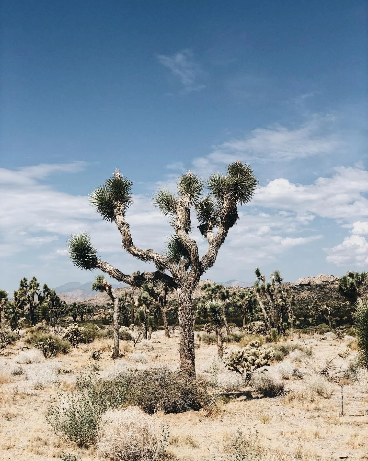 Happy spin in one of my favorite places