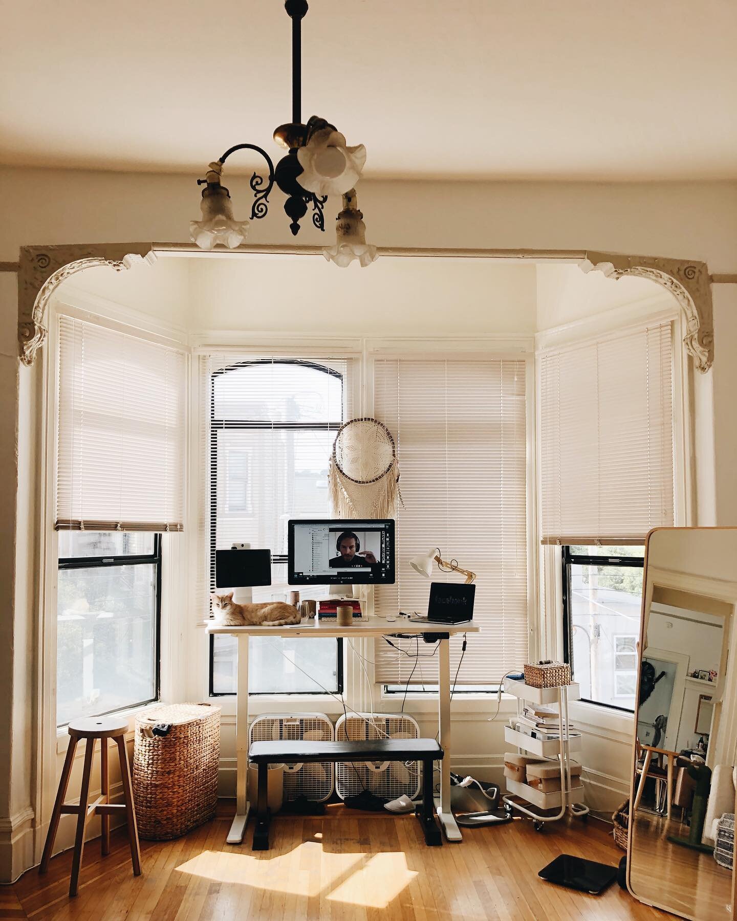 I was so happy when I got my bay window in the Bay Area. During COVID, we loved this house and spent more time here than we ever imagined possible. It had downsides... the ants... the hospital commotion next door... but it was bright and comfy and a 