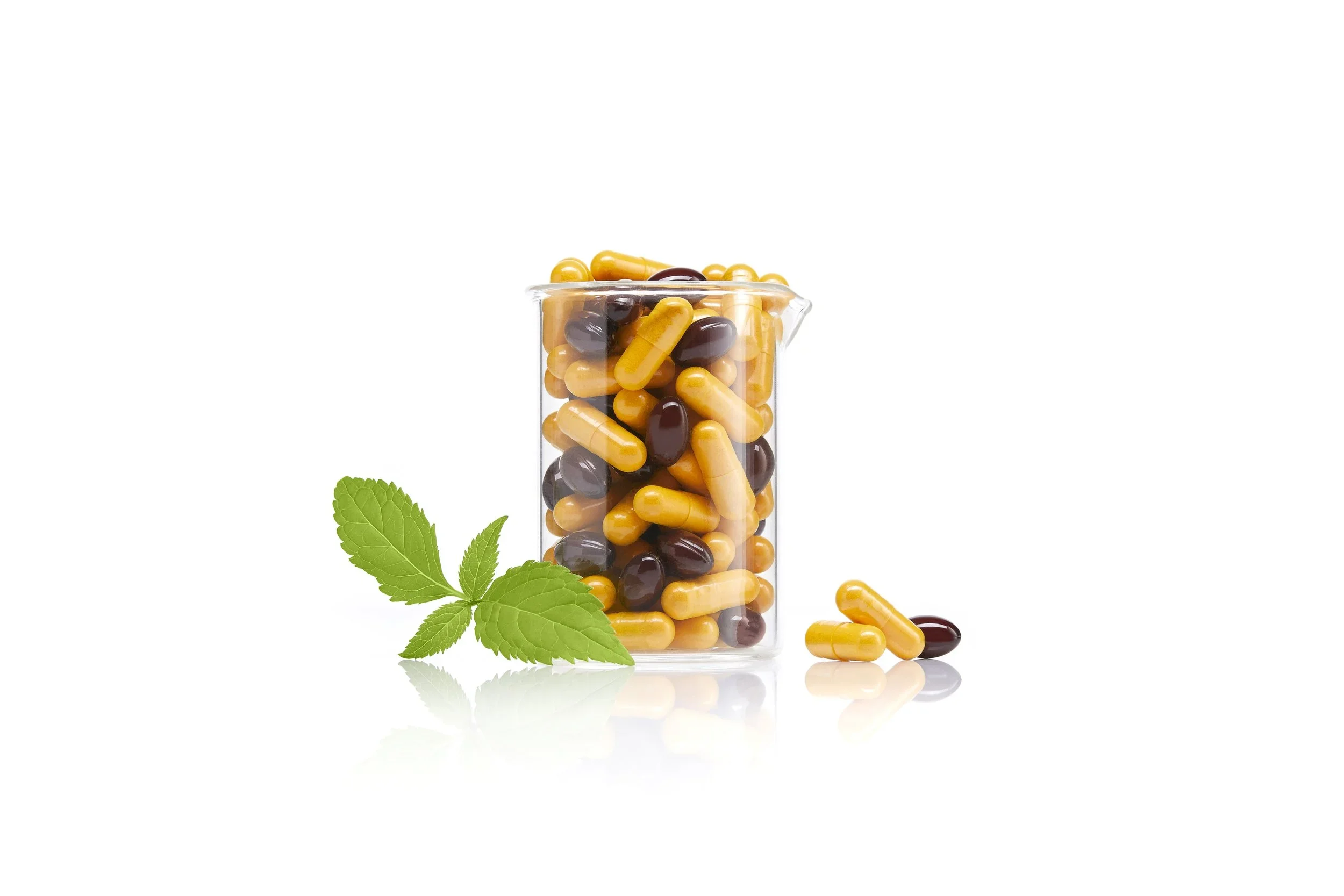 image-asset (1).webp