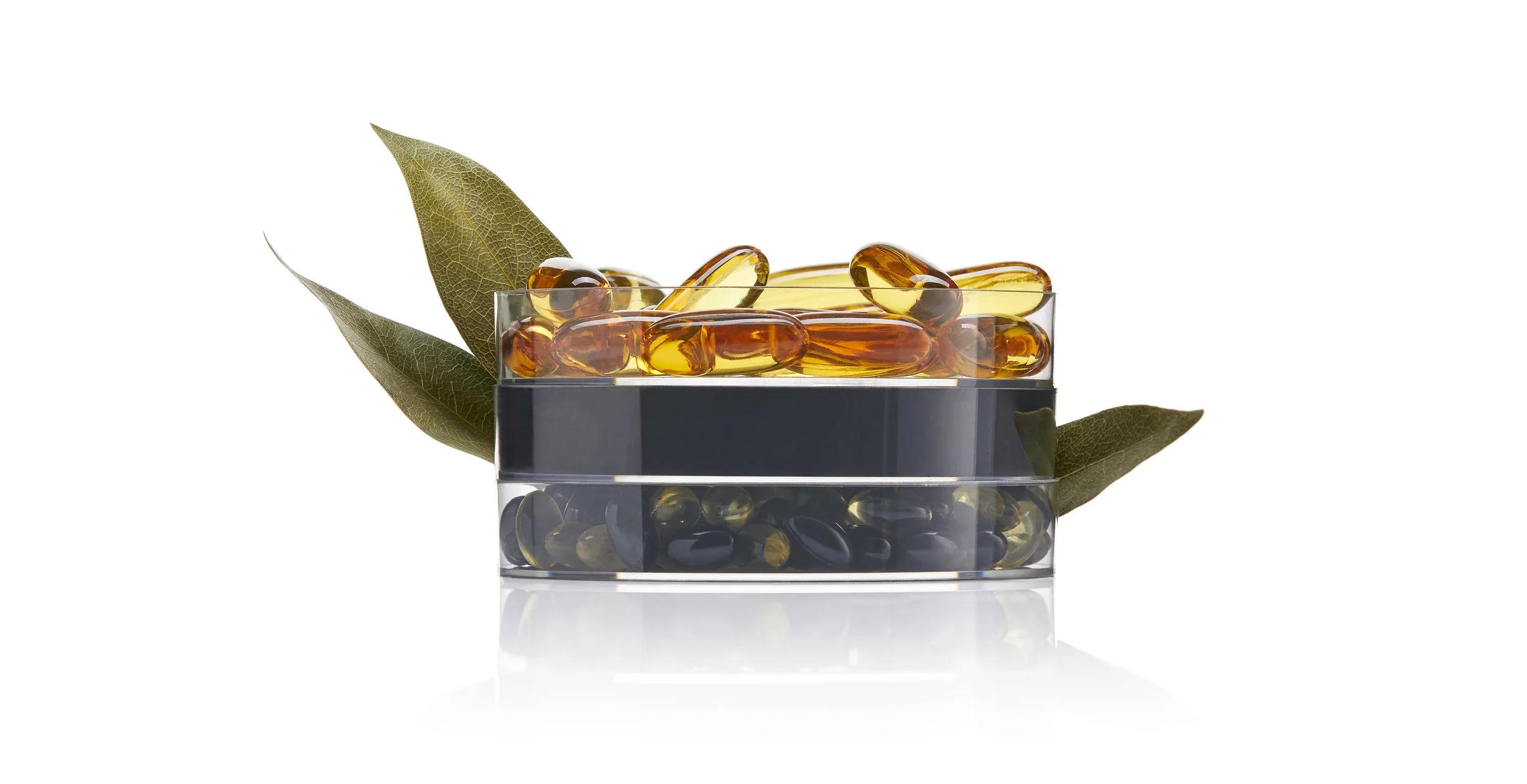 image-asset (4).webp