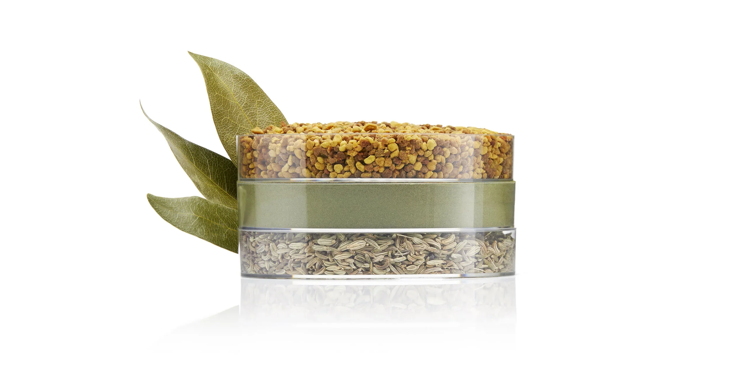 image-asset (3).webp