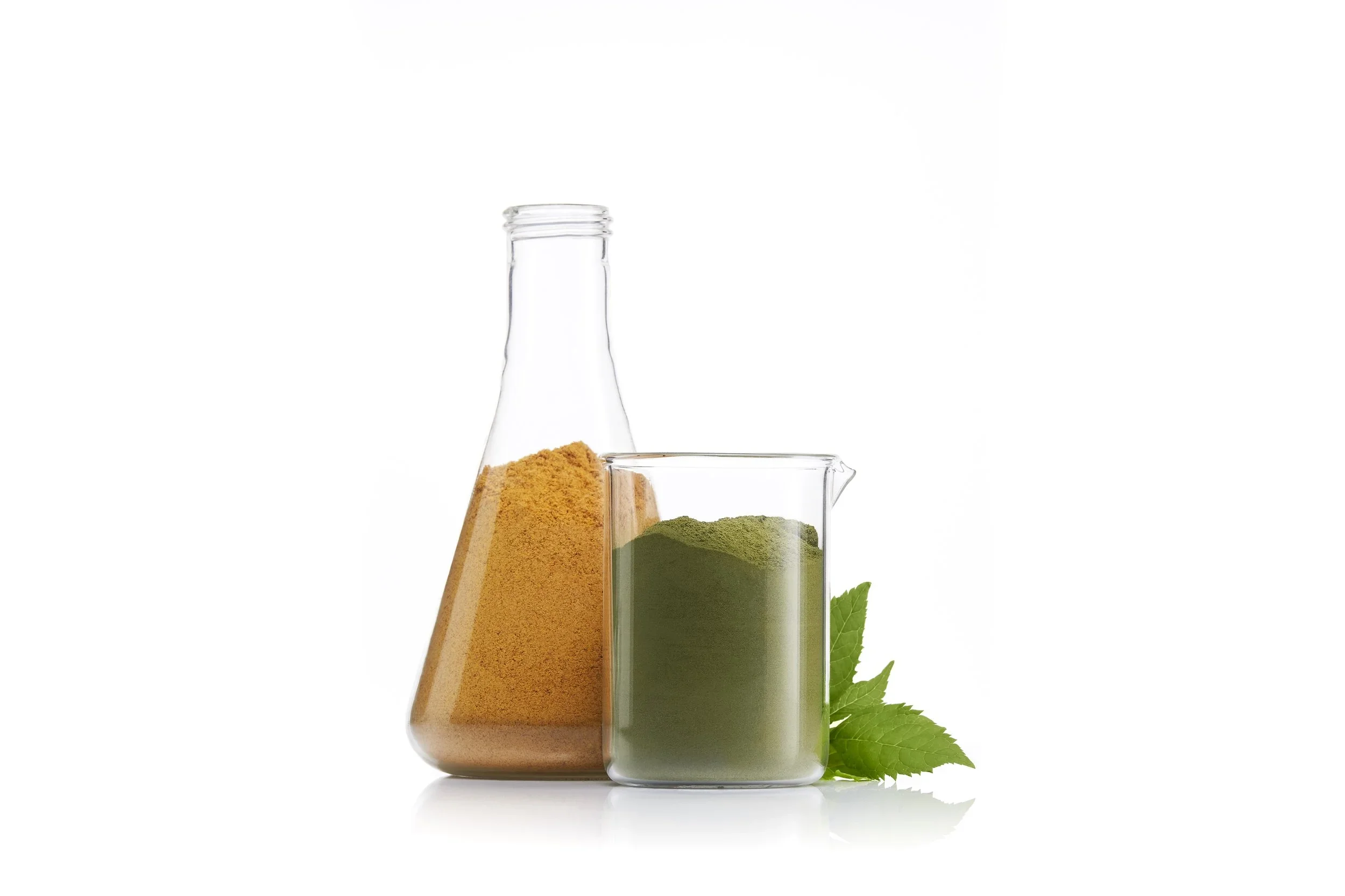 image-asset (9).webp