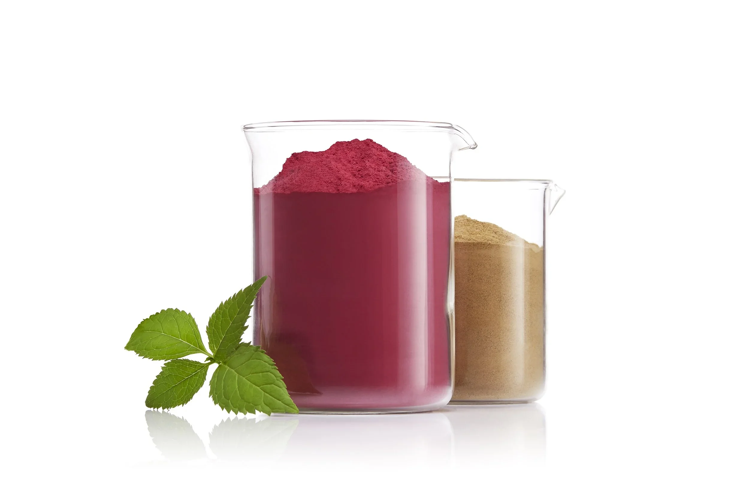 image-asset (10).webp