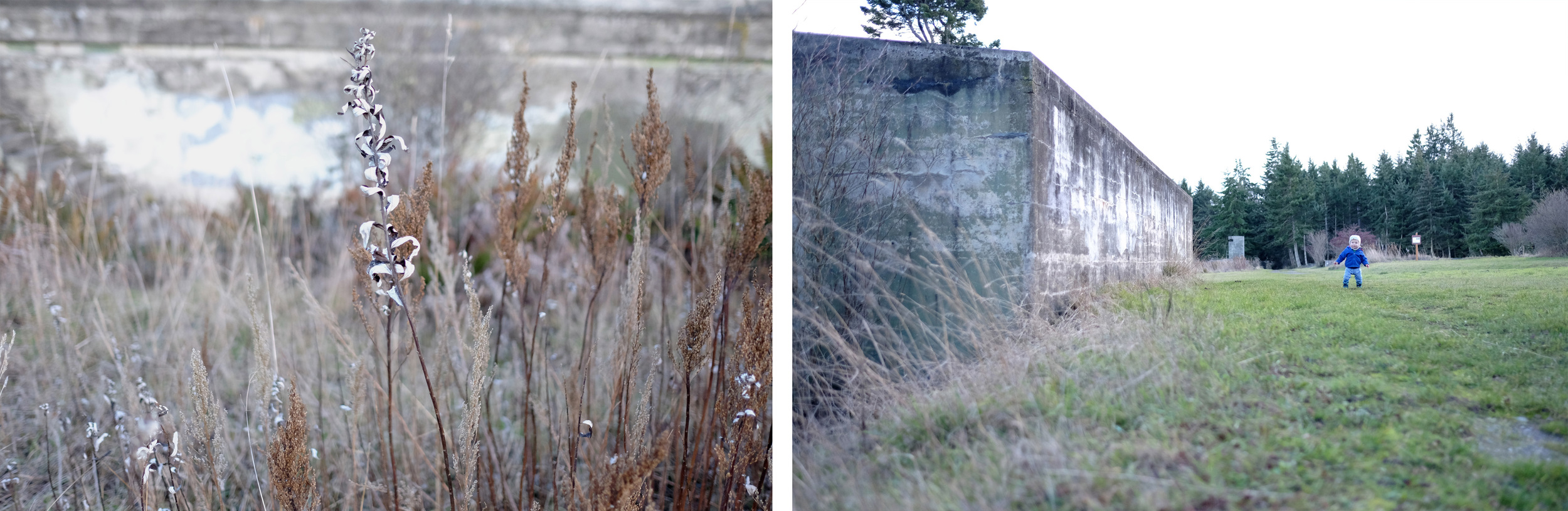  From our walk on Christmas Eve