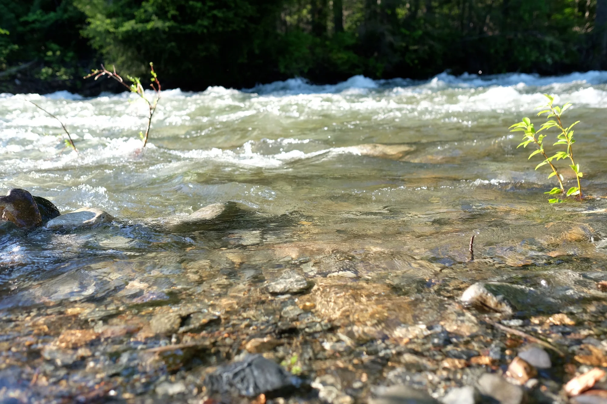 DSCF6102.JPG