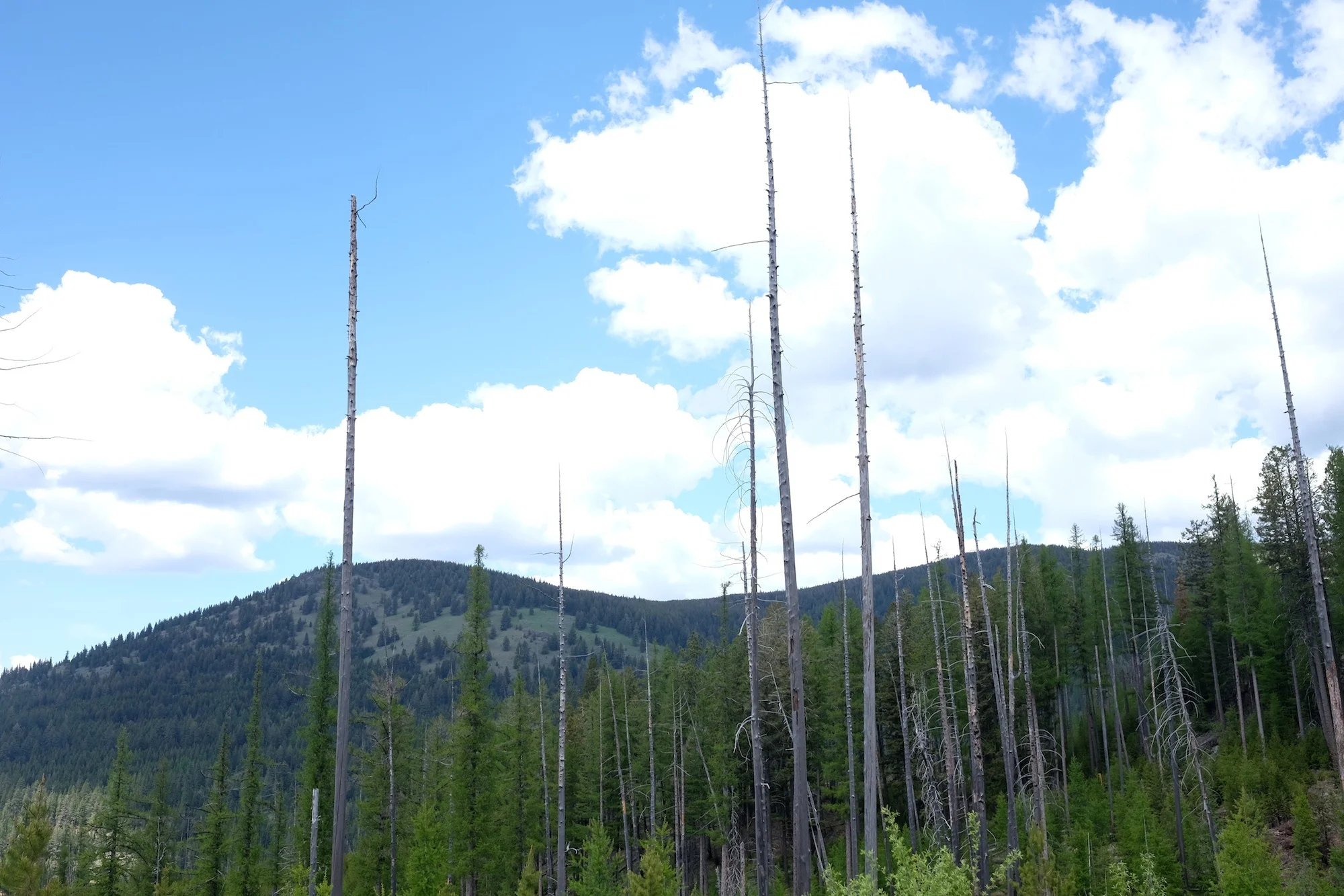 DSCF6178.JPG