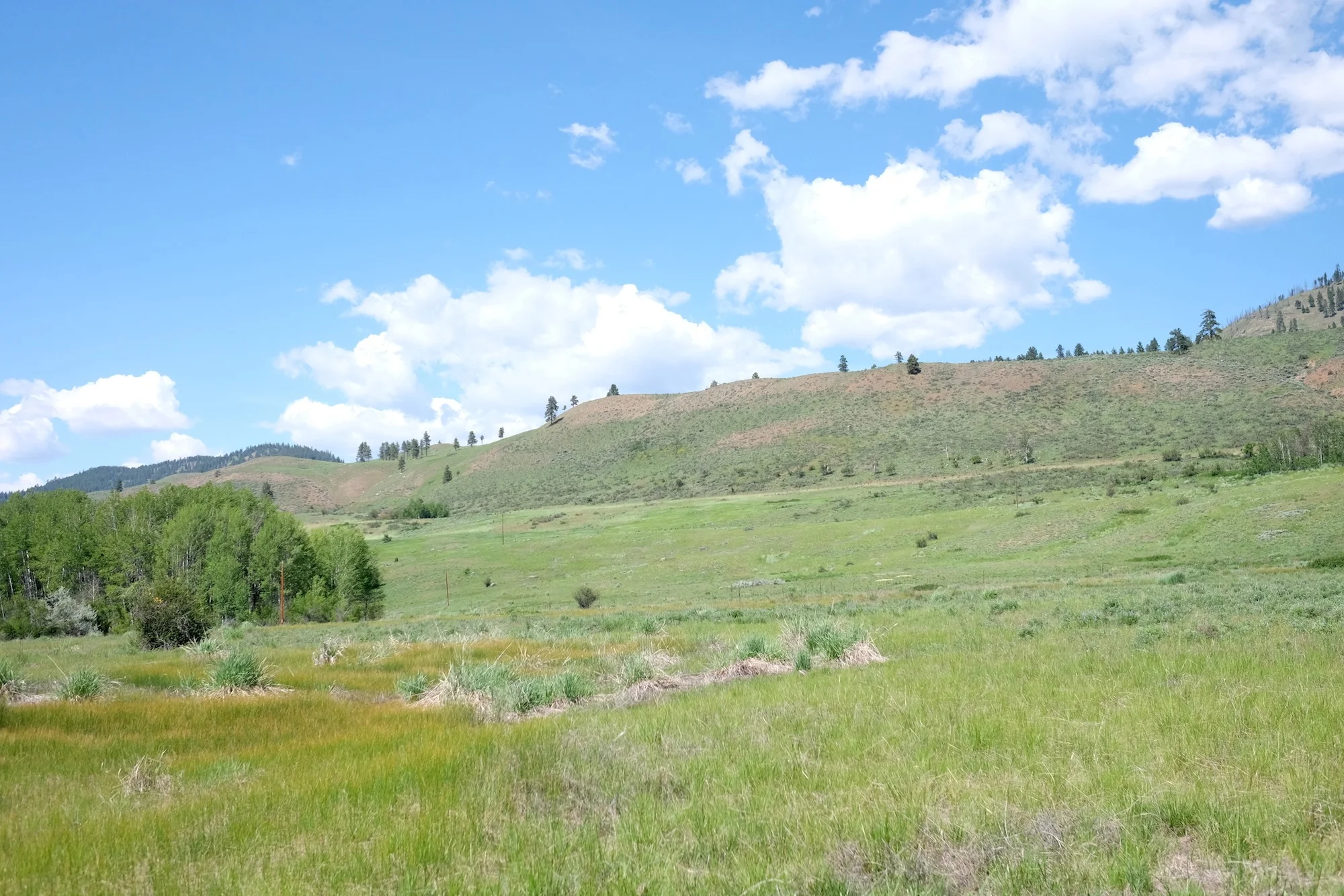 DSCF6135.JPG