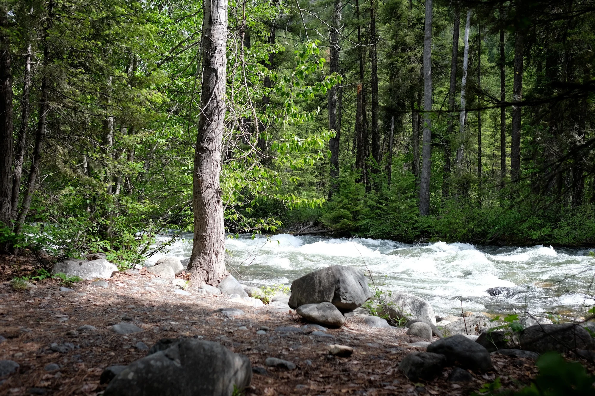 DSCF5977.JPG