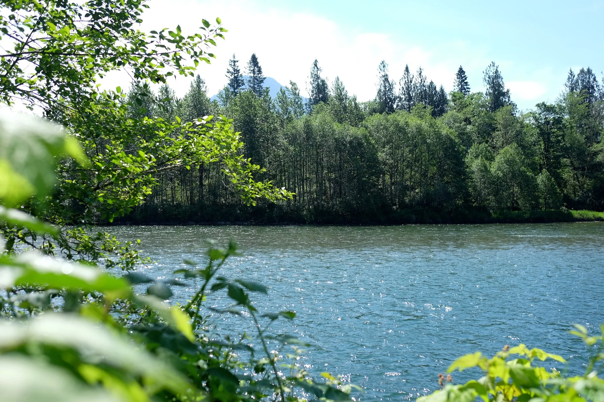 DSCF5910.JPG
