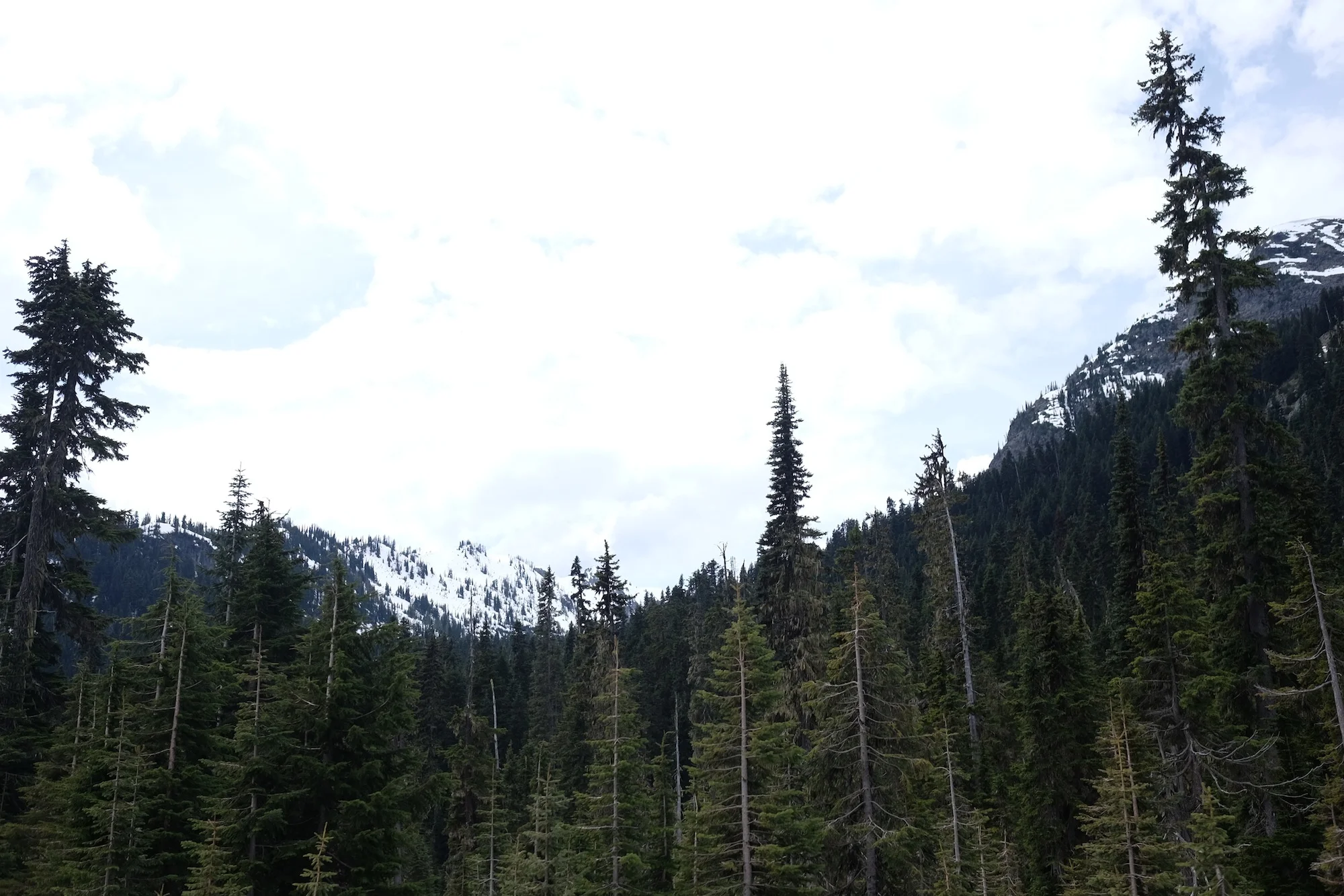 DSCF5966.JPG