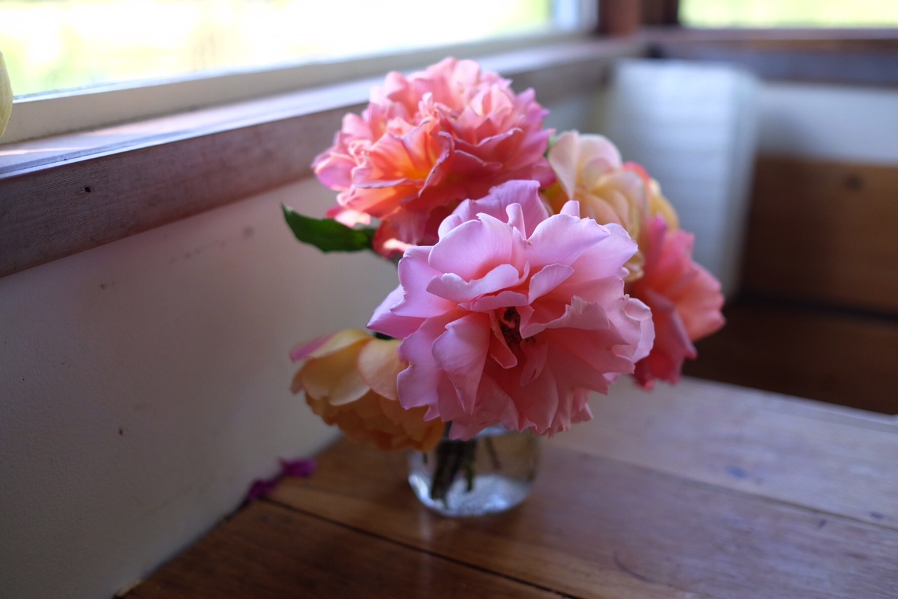 photo 5.JPG