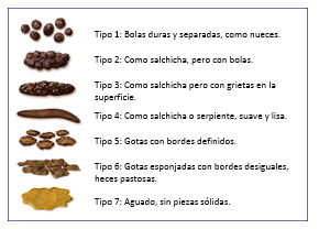 Spanish_Stool_Chart.png