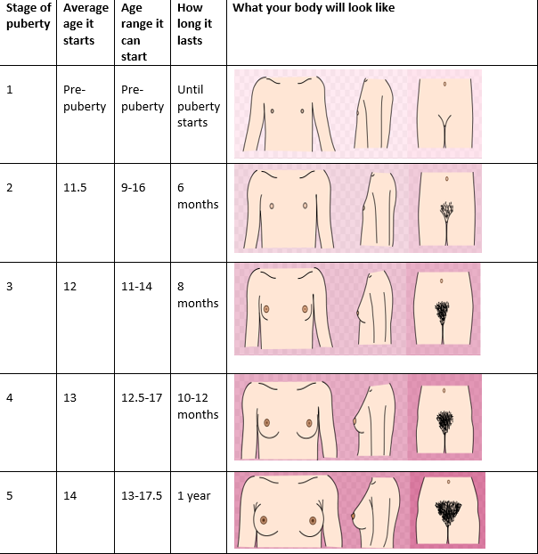 Грудь в разном возрасте. Этапы роста груди. Половое развитие девочек. Нормальная женская грудь. В каком возрасте начинают расти волосы