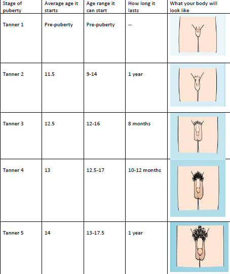 puberty health info plateau pediatrics baby growth spurt chart boy