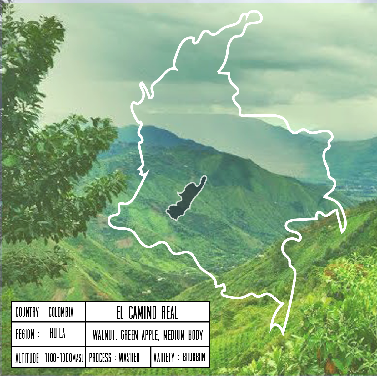 colombiaELCAMINO.png