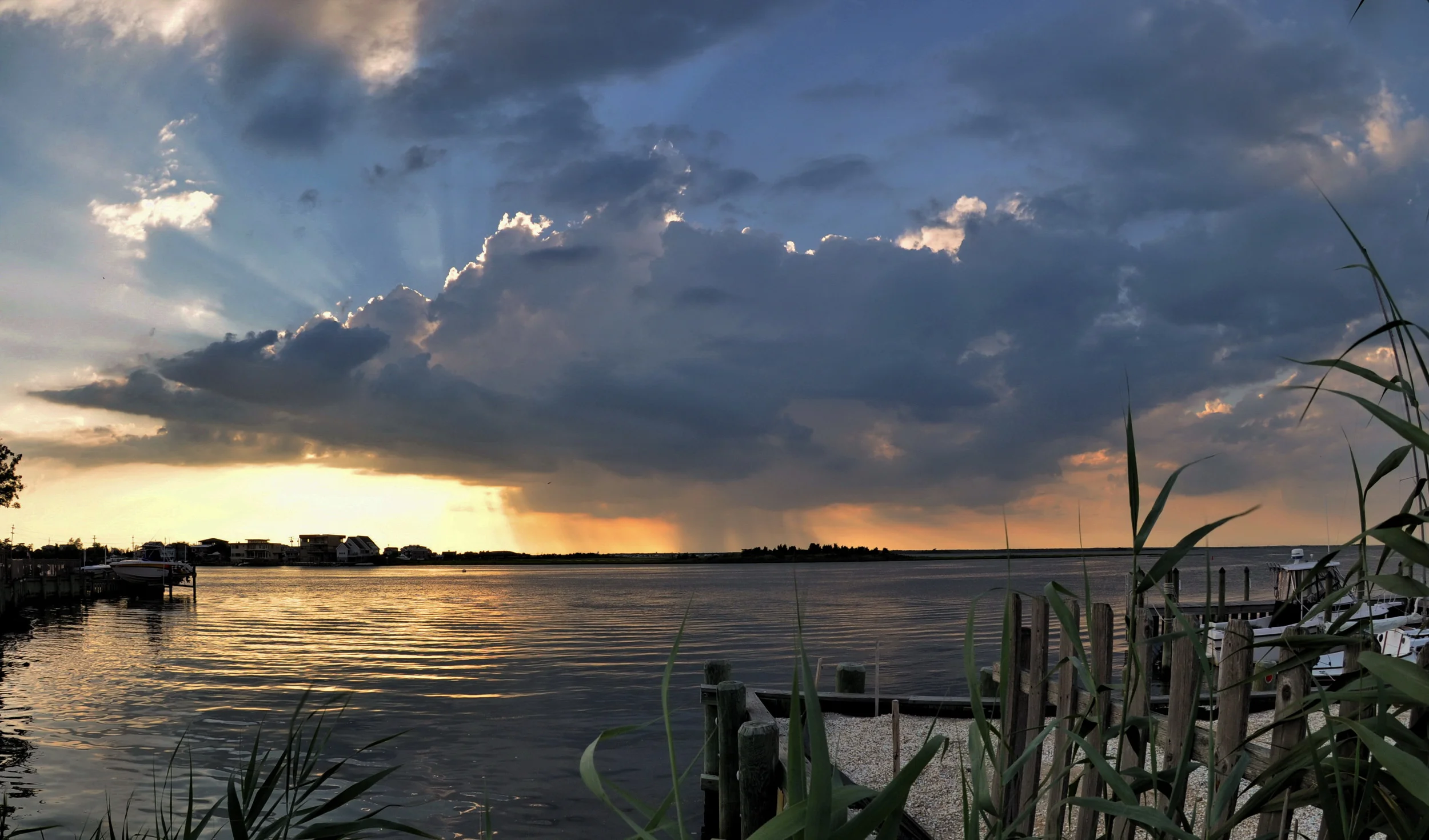 DSC_4169c1h.jpg