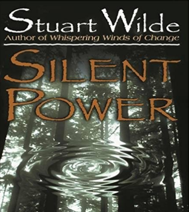 Silent Power by Stuart Wilde