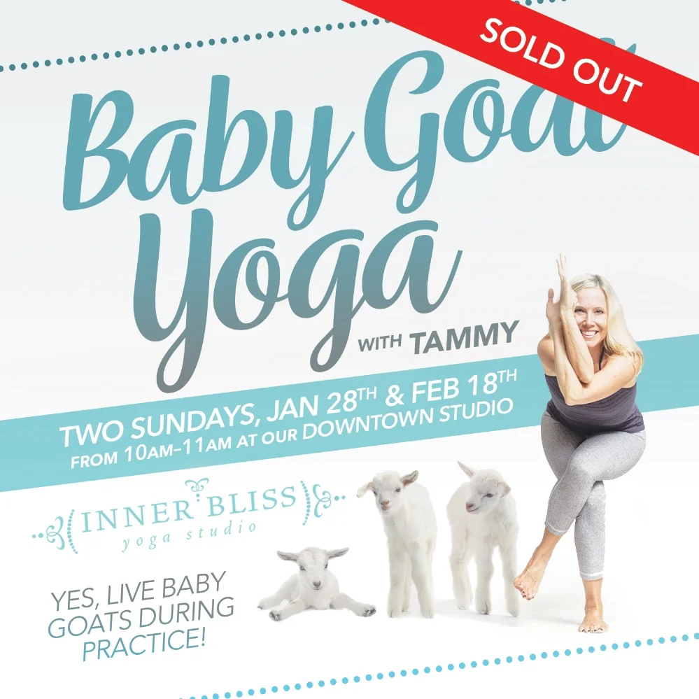 iby-goat-yoga.jpg