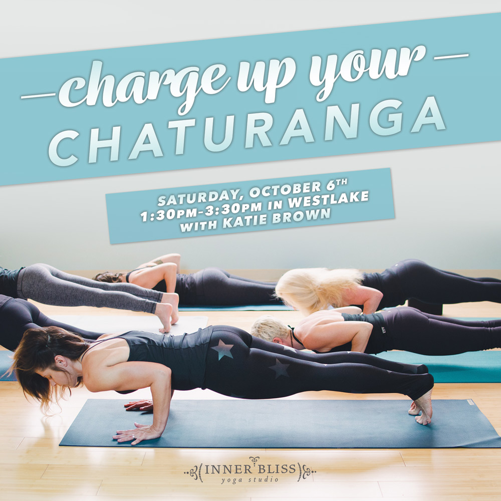 The Hidden Pulling Actions in Chaturanga or The Problem is Never the Pose -  YOGA ANATOMY ACADEMY