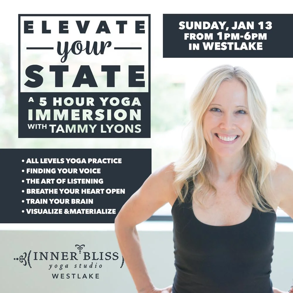 iby-elevate-your-state-2.jpg