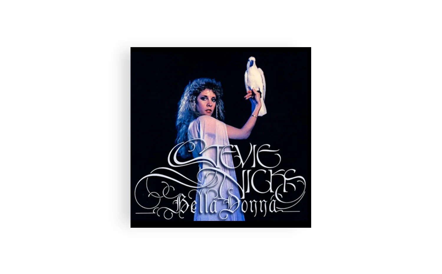 stevie-nicks-title.jpg