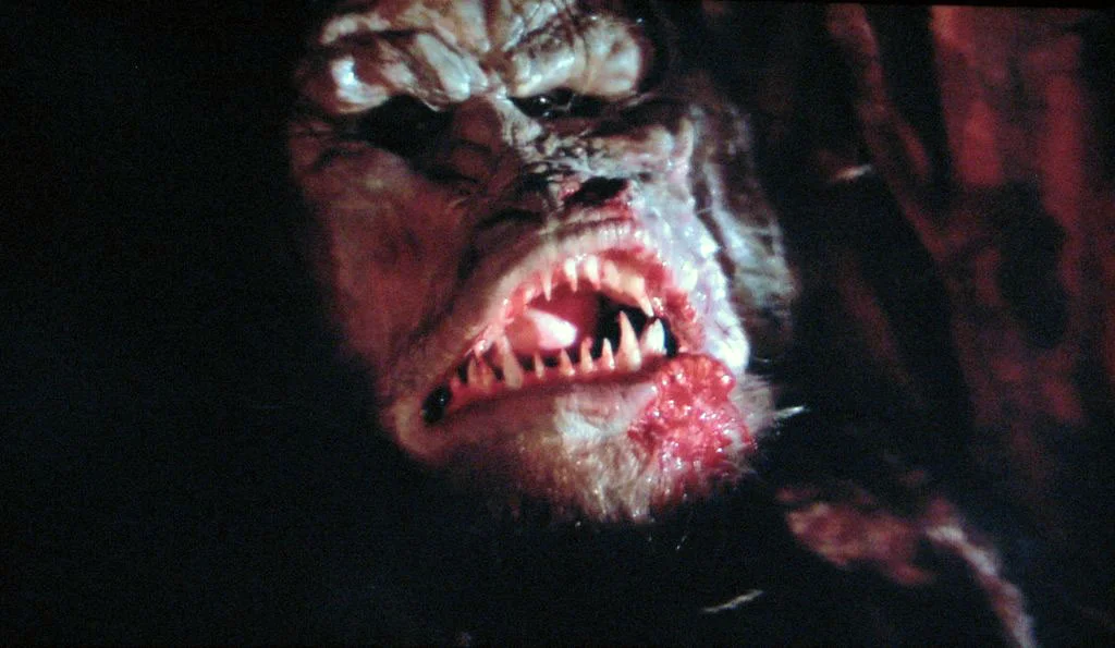 No makeup selfie