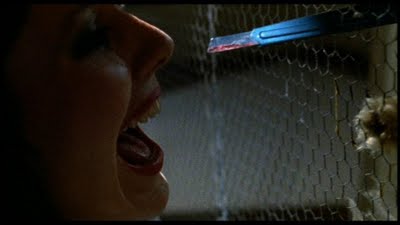 A Blade in the Dark (1982)