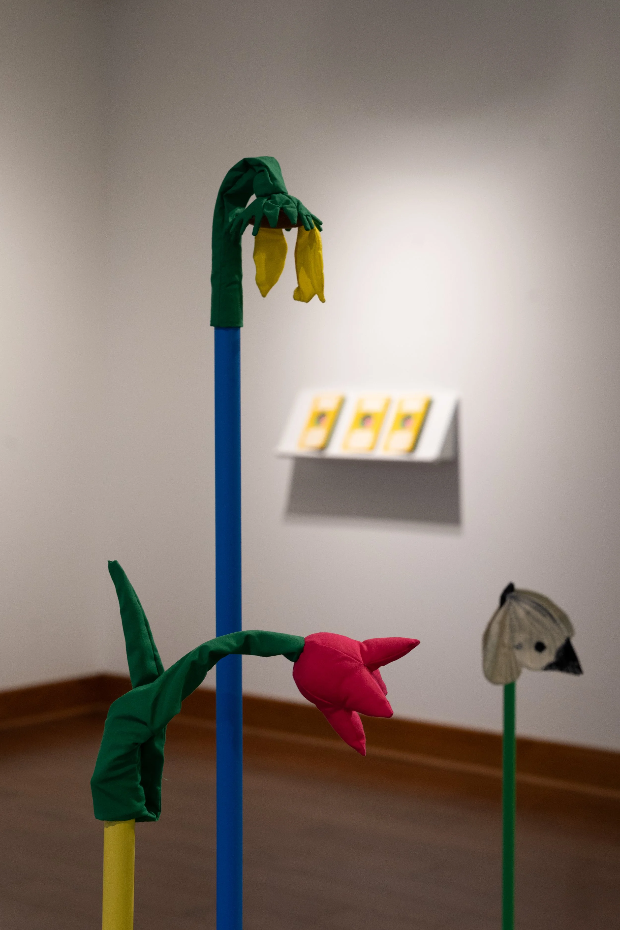 DSC06755-Edit.jpg